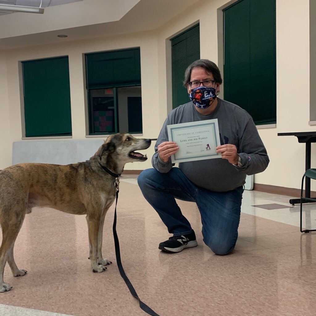 Luke the dog at the Dane County Humane Society