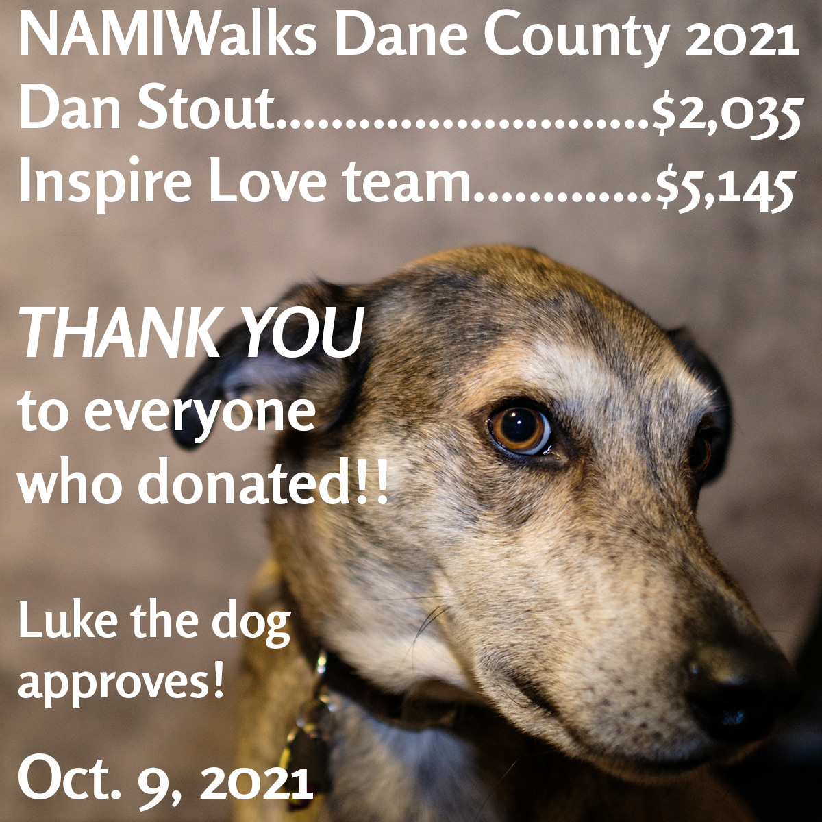 NAMIWalks Dane County 2021 fundraising