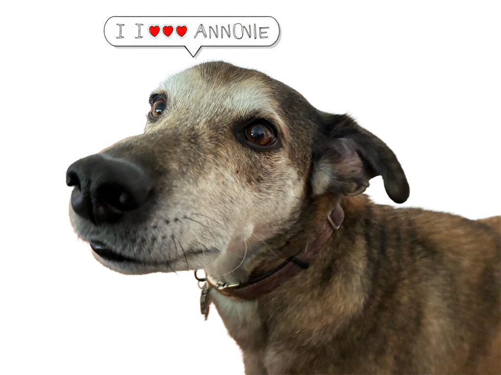 Luke the Dog says, "I love Annie!"